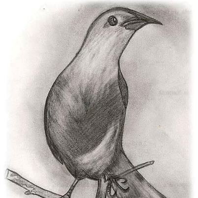 Desenho de Vanice Ferreira - artista pl�stico.