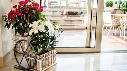 Reprodução Reprodução