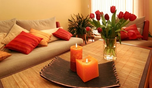 Reprodução Reprodução