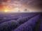 Reprodu��o/Antony Spencer