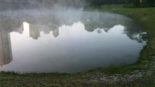 Leonardo Calvetii/Simepar Twitter - Vapor de condensação sobre o lago do Jardim Botânico nesta manhã
