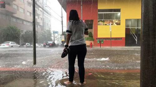 Anderson Coelho / Grupo Folha - Chuva começou na semana passada em Londrina