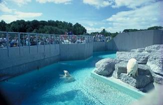 Reprodução - Toronto/Canadá - Toronto Zoo Reprodução - Toronto/Canadá - Toronto Zoo