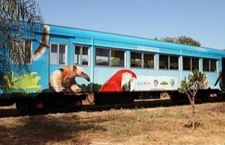 Reprodução - Trem do pantanal Reprodução - Trem do pantanal
