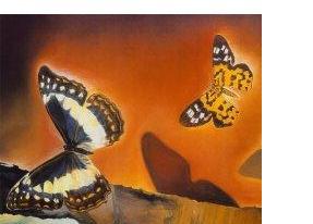 Fragmento do quadro 'Paisagem com Borboletas' de Salvador Dalí