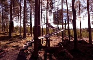 Divulgação/Treehotel Divulgação/Treehotel