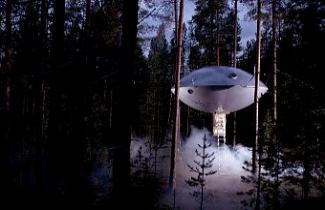 Divulgação/Treehotel Divulgação/Treehotel
