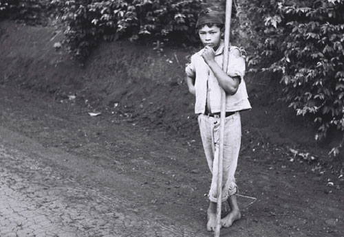 O rapaz que intrigava Kaiser com seu olhar. Arredores de Londrina (1967) O rapaz que intrigava Kaiser com seu olhar. Arredores de Londrina (1967)