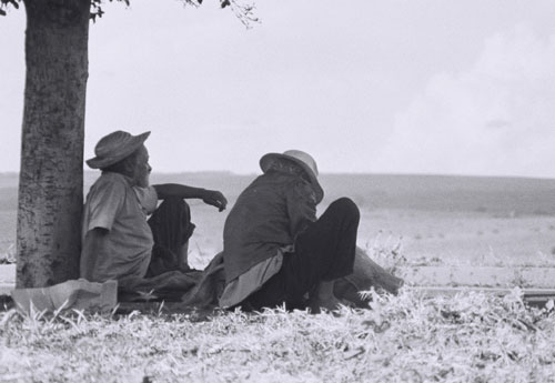Os dois homens com olhar de desesperança ao horizonte, nos arredores de Cambé (1967) Os dois homens com olhar de desesperança ao horizonte, nos arredores de Cambé (1967)