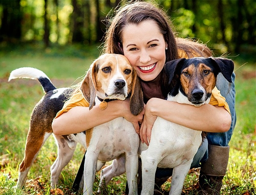 Resultado de imagem para animais e pessoas