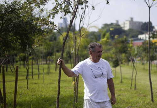Reprodução/Pétala Lopes Reprodução/Pétala Lopes