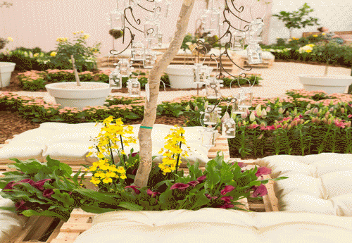 Divulgação/Expoflora Divulgação/Expoflora