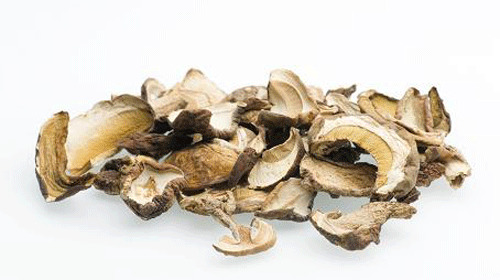 Reprodução - Funghi secchi