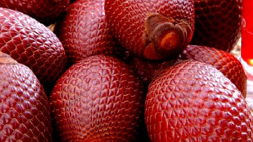 Reprodução - Fruta Buriti-miriti