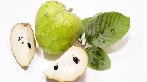 Reprodução - Fruta Cherimoia