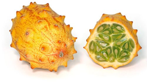 Reprodução - Fruta Kino