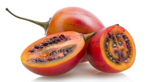 Reprodução - Fruta Tamarillo
