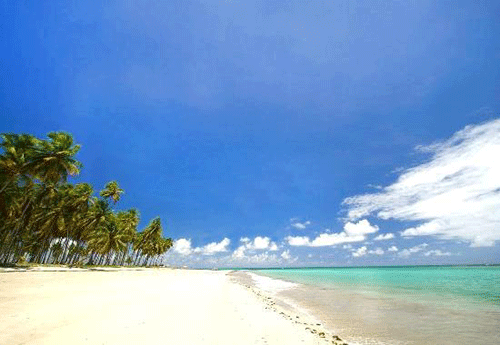Reprodução/TripAdvisor Reprodução/TripAdvisor