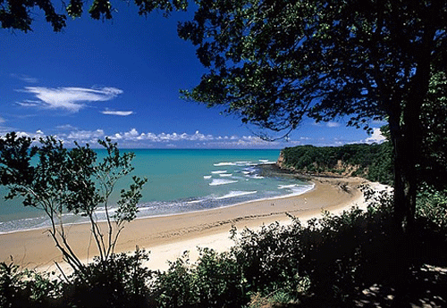 Reprodução/TripAdvisor Reprodução/TripAdvisor