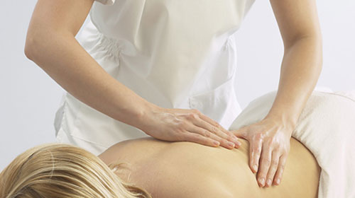 Reprodução Reprodução