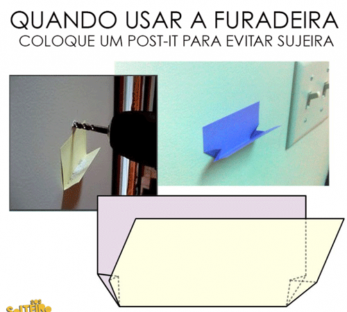 Reprodução Reprodução