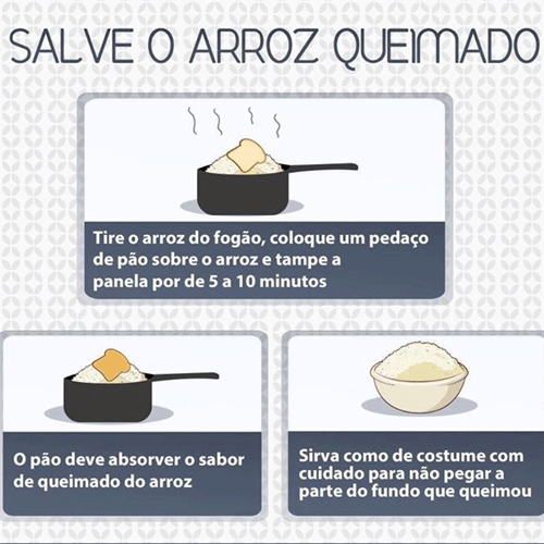 Reprodução Reprodução