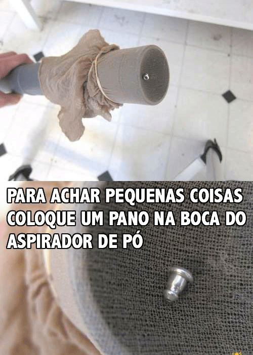 Reprodução Reprodução