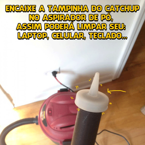 Reprodução Reprodução