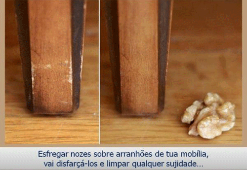 Reprodução Reprodução