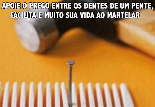 Reprodução Reprodução