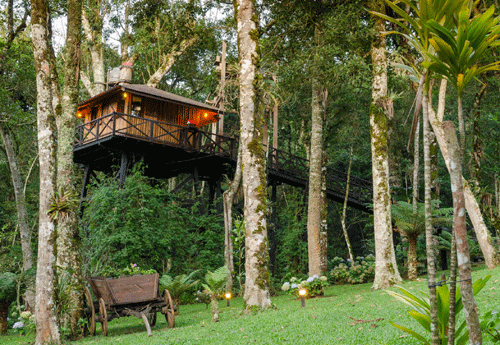 Reprodução/ Airbnb Reprodução/ Airbnb