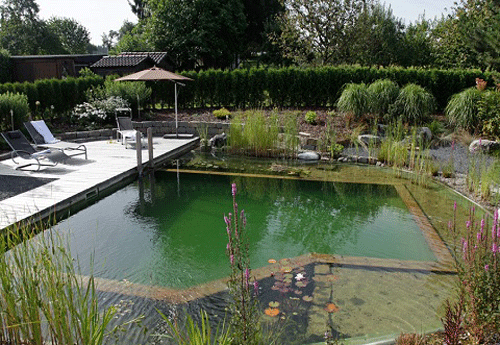 Reprodução/Biotop Natural Pools Reprodução/Biotop Natural Pools