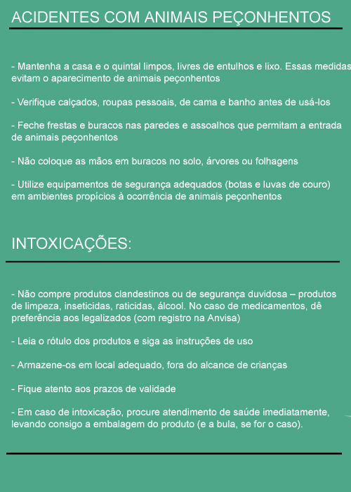 Reprodução Reprodução