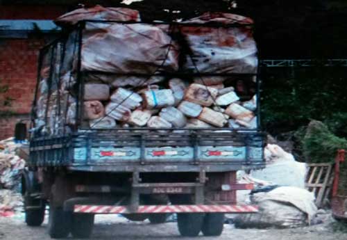 Divulgação/Polícia Ambiental Divulgação/Polícia Ambiental