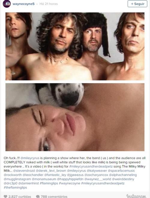 Reprodução Reprodução