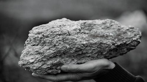 rocha calcária do solo em Chablis