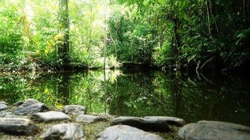 Bianca Stefany Alves Farias/Wikiparques