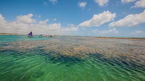 Divulgação/Embratur - Porto de Galinhas