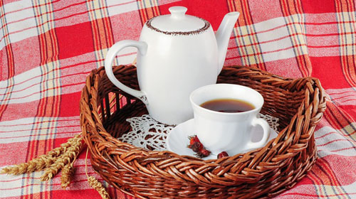 Divulgação/Pixabay Divulgação/Pixabay