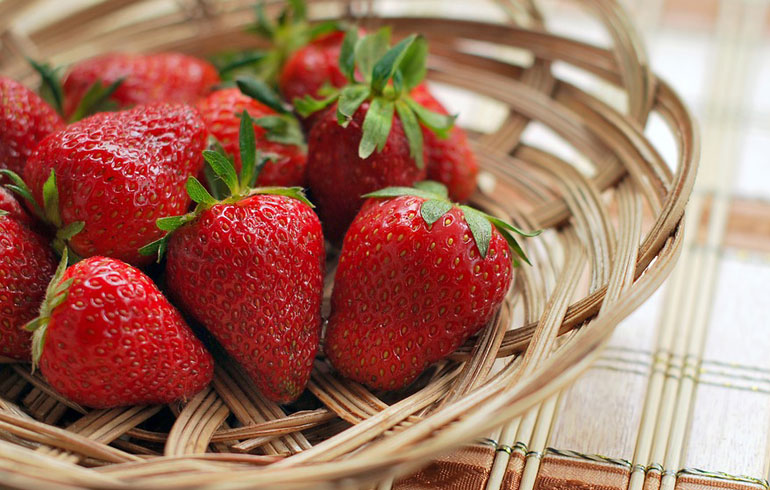 Divulgação/Pixabay Divulgação/Pixabay