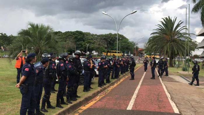 Aline Parodi - Grupo Folha