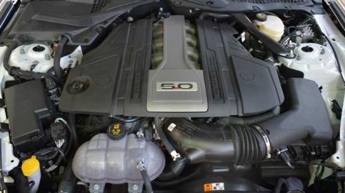 Felipe Rocha dos Reis - Motor 5.0 V8 com 32 válvulas: De 0 a 100 em 4 segundos!