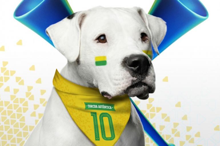 Divulgação Divulgação