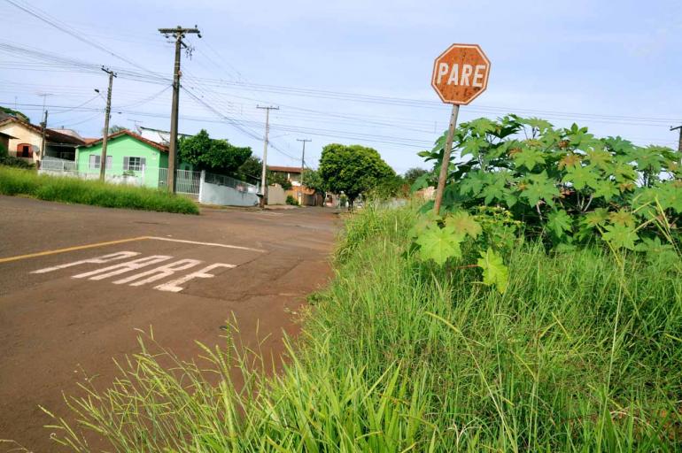 Saulo Ohara - Por toda a cidade é possível encontrar terrenos com
mato alto, muitas vezes invadindo até a calçada Saulo Ohara - Por toda a cidade é possível encontrar terrenos com
mato alto, muitas vezes invadindo até a calçada