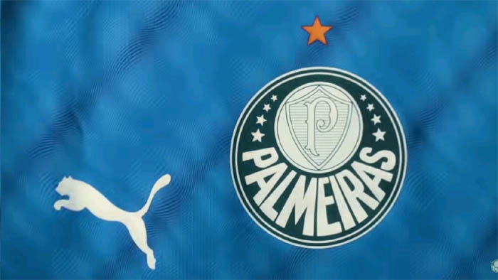 camisa palmeiras azul marcos