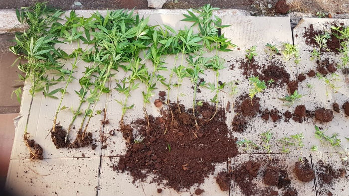 Divulgação/PolÃcia Militar