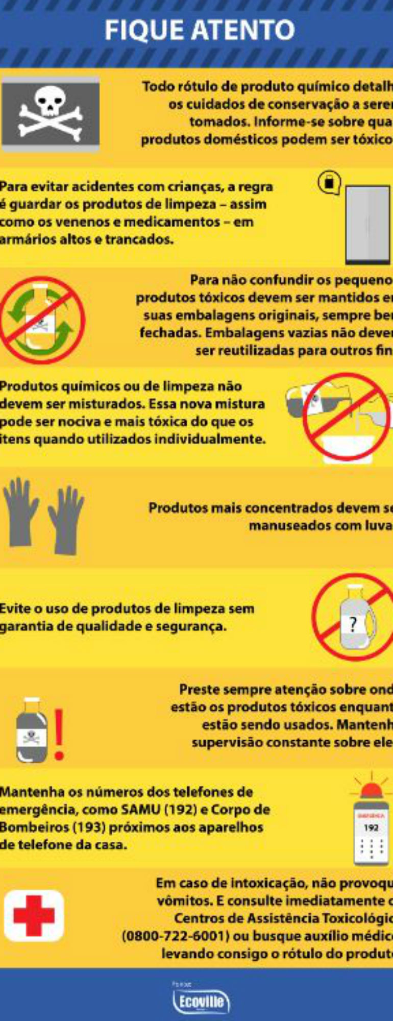 Divulgação Divulgação