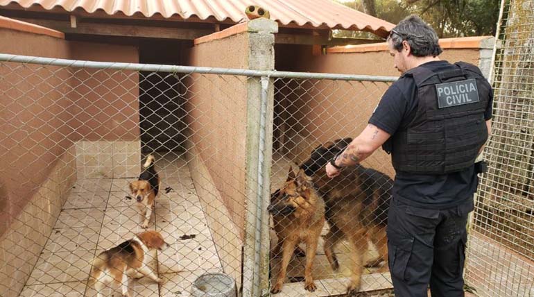 Divulgação/Polícia Civil Divulgação/Polícia Civil