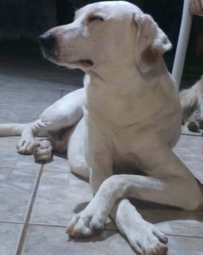 Reprodução/WhatsApp Reprodução/WhatsApp