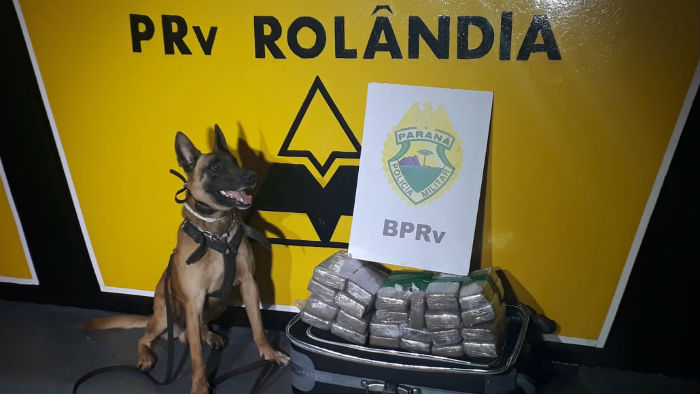 Divulgação/Polícia Rodoviária Estadual Divulgação/Polícia Rodoviária Estadual